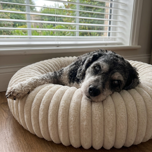 Still Deep Rest Dog Bed