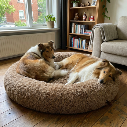Still Dual-Rest Orthopedic Dog Bed