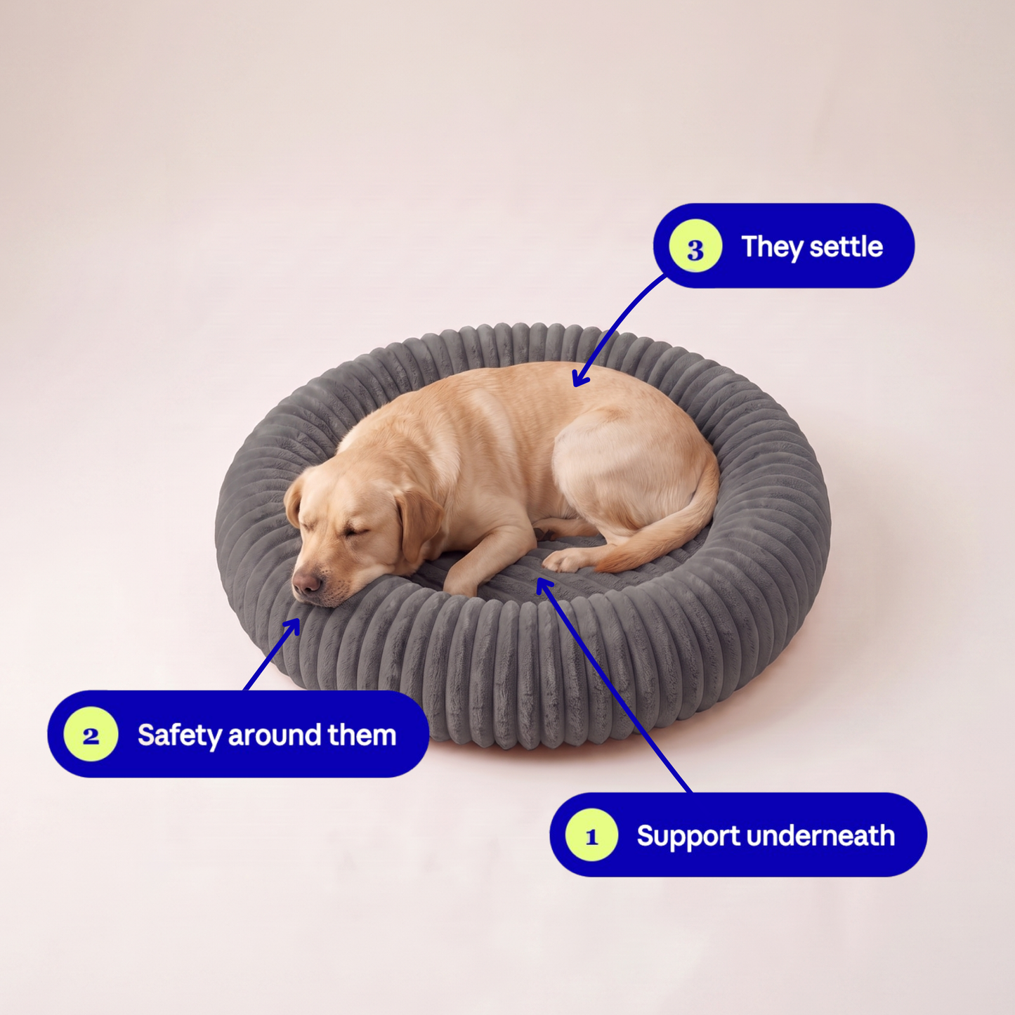 Still Deep Rest Dog Bed