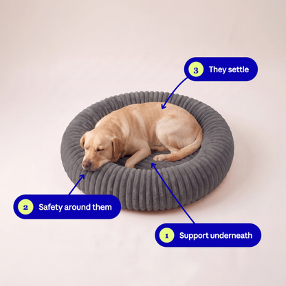 Still Deep Rest Dog Bed