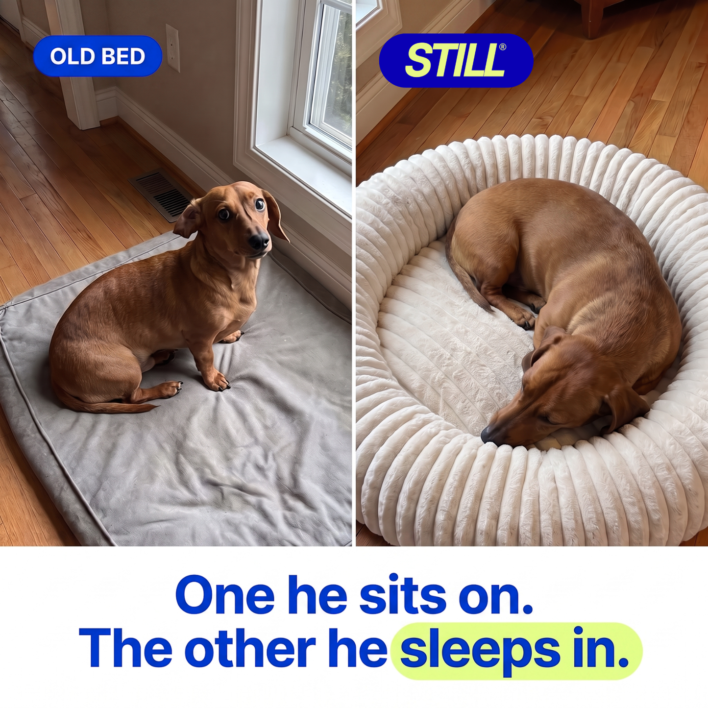 Still Deep Rest Dog Bed