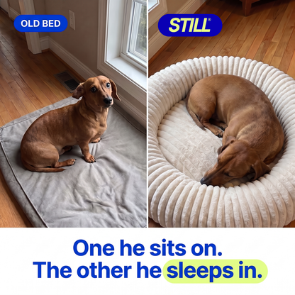 Still Deep Rest Dog Bed