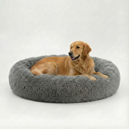 Still Dual-Rest Orthopedic Dog Bed