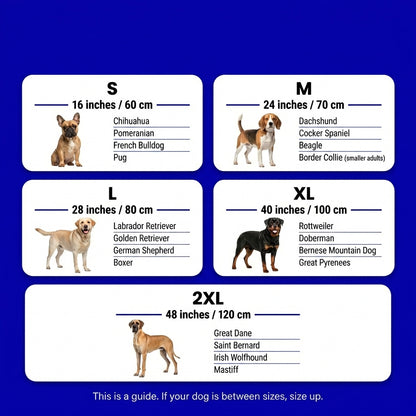 Dual-Rest Orthopedic Dog Bed